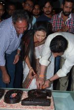 Divyanka Tripathi, Karan Patel at Yeh Hai Mohabbatein 300 episodes celebrations in Andheri, Mumbai on 28th Nov 2014
